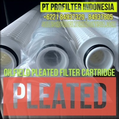 d oilfield pleated filter cartridge indonesia  large