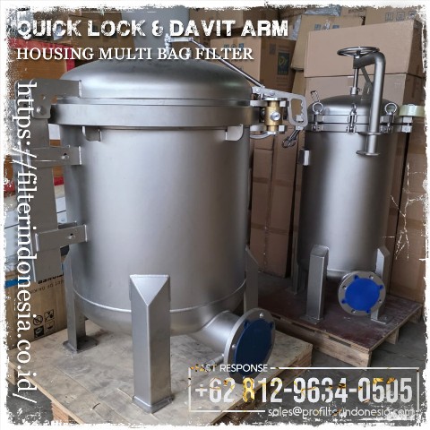quick lock & davit arm housing multi bag filter stainless steel