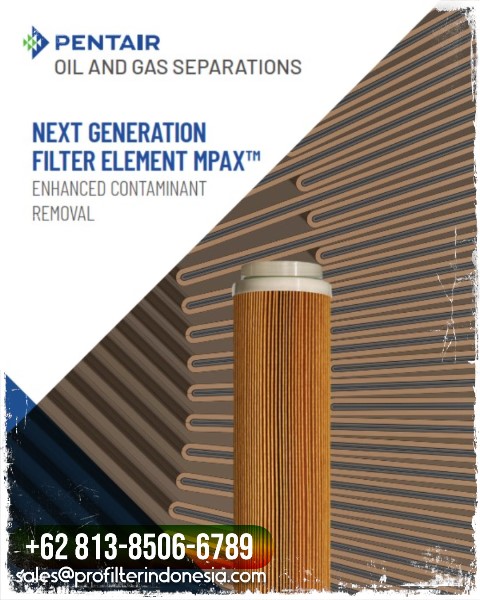pentair filter cartridge